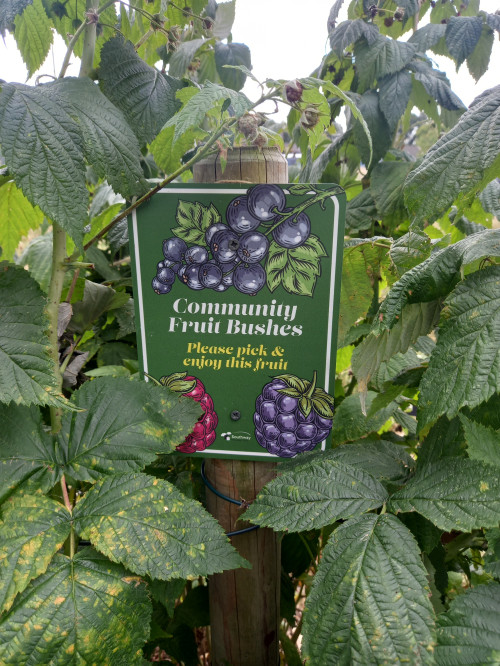Southway featuring produce sign