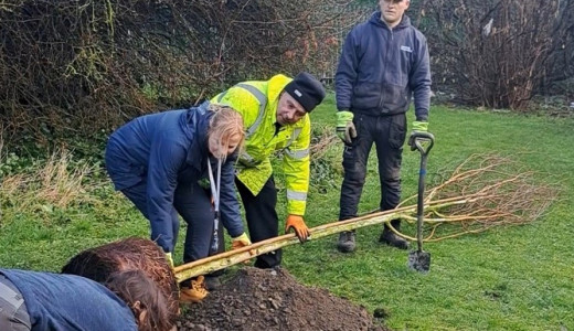 Leeds Federated tree planting literal