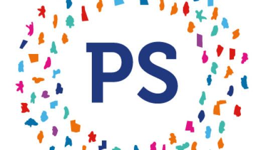PlaceShapers logo icon coloured