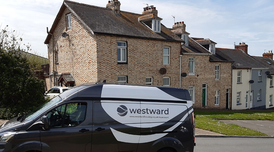 Van 1 web