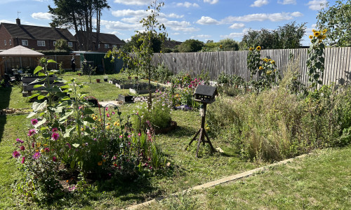 CKH Well-Being Garden
