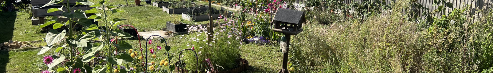 CKH Well-Being Garden