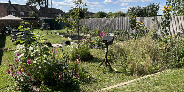 CKH Well-Being Garden